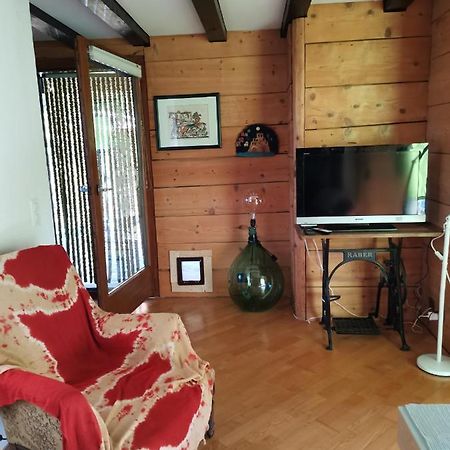 Chalet Alpine Daire Sion Dış mekan fotoğraf