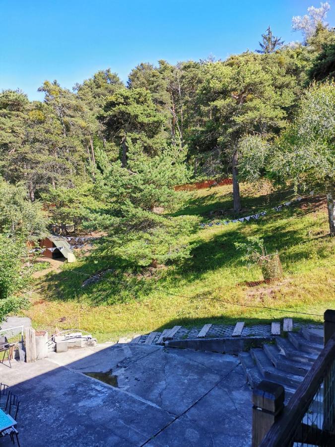 Chalet Alpine Daire Sion Dış mekan fotoğraf