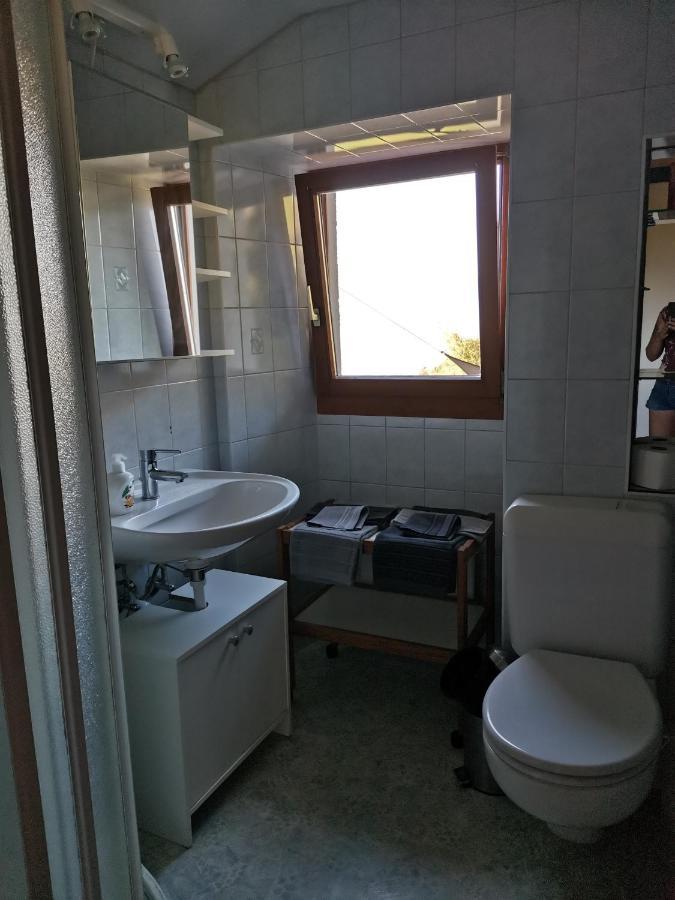 Chalet Alpine Daire Sion Dış mekan fotoğraf